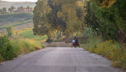 Caltanissetta Campagna Sicilia