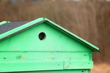 beehive in the forest