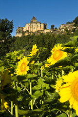 Le château de Castelnaud en Dordogne
