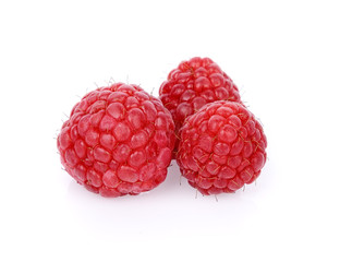  Raspberry on white background.