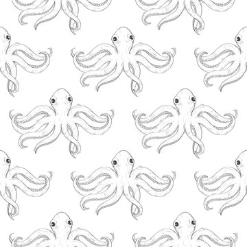 Octopus. Seamless pattern. Hand drawn sketch