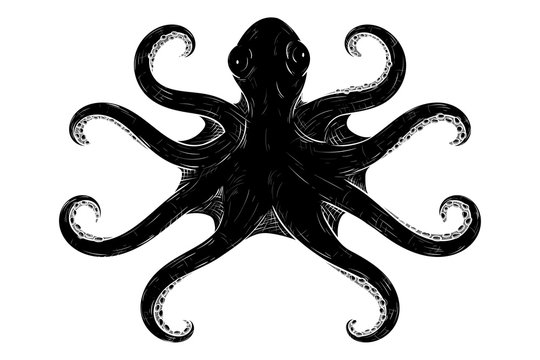 Octopus with symmetric tentacles. Black hand drawn sketch