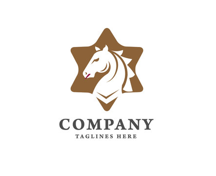 creative horse and star logo concept,Horse head combine with star icon,Stallion logo vector