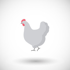 Poultry flat vector icon