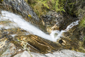 Salkantay Trekking Peru the road to Machu Pichu