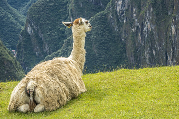 The road to Machu Picchu and beautiful landscapes