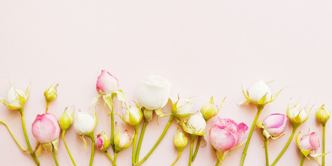 Roses  on a textured paper pink background. Background for Mother's Day, St. Valentine's Day, March 8. Top view, flat lay.