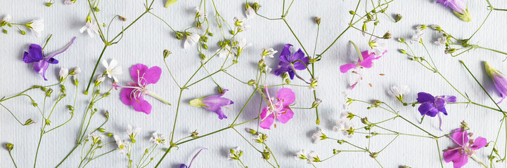 Flower pattern of wildflowers. Composition of flowers. Top view. Floral abstract background. Small white flowers on a blue paper background. The concept of summer, spring, Mother's Day, March 8. 