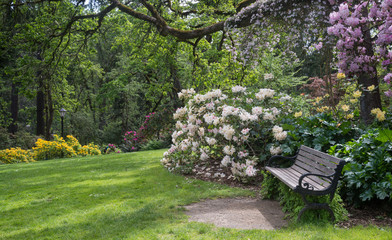 Waiting in Hendricks Park