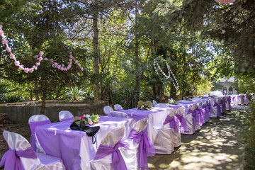 Bahçede düğün hazırlıkları
