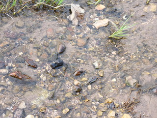 Water flowing from the depths of the earth on the river bank