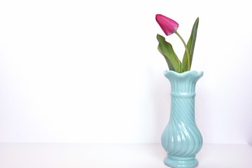 tulips in a vase