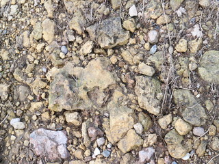 stones lying on the river bank