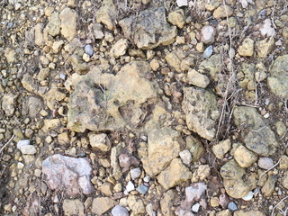 stones lying on the river bank