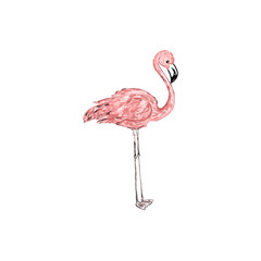 Obraz premium Abstract trendy pastel pink flamingo painting illustration