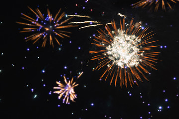 Fototapeta premium Fireworks, salute with the black sky background