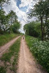Fototapeta premium Wanderung Klausen Felder