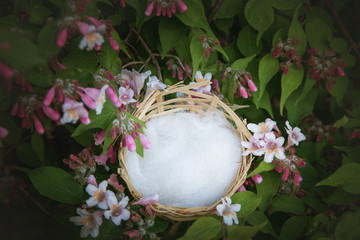 pink spring basket for newborn photography 
