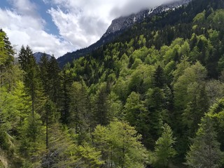 Alpes