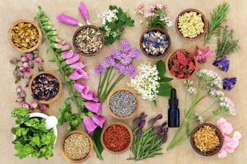 Fototapeta na wymiar Herbs and flowers used in herbal medicine and natural homoeopathic remedies with aromatherapy essential oil bottle and mortar with pestle on rough brown paper background.