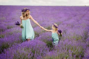 Happy family in a field of lavender