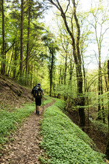 Fototapeta premium Hottenbachweg