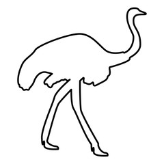 Ostrich icon black color illustration flat style simple image