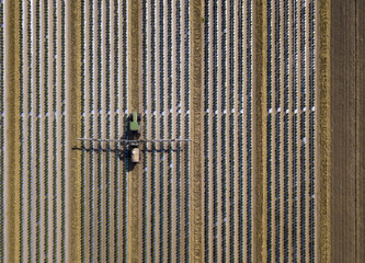 Straight down view of tractor spraying chemical fertilizer or pesticide on a tomato field.