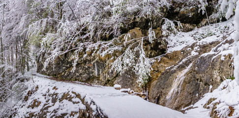 Fototapeta na wymiar Path under the Snow