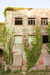 Fototapeta premium Abandoned houses invaded the plants