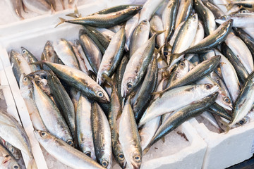 Fresh fish at the Naples market