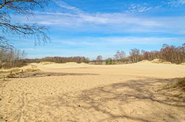 Fototapeta na wymiar Panoramic view of Boberger dunes in nature reserve Boberger Niederung in Hamburg, Germany