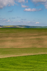 Spring Sussex Landscape