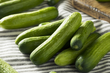 Raw Green Organic Baby Cucumbers