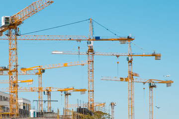 many cranes on building site - construction cranes on blue sky  -