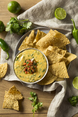Spicy Homemade Cheesey Queso Dip