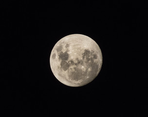 Fototapeta premium The moon