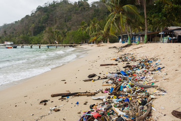 trash at beach - environmental pollution 