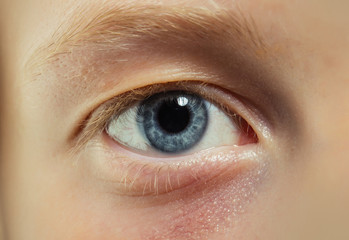 Obraz premium Blue eye with blond eyelashes and brow. Eye with no makeup. Natural beauty look and no make up