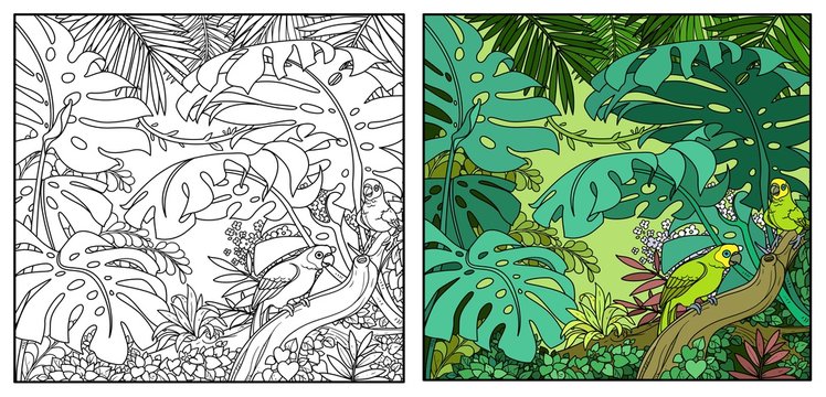 Wild jungle with amazon parrot sit on branch color and black contour line drawing for coloring on a white background