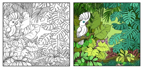Obraz premium Dzika dżungla z papugą kakadu alba siedzącą na gałęzi kolor i rysowanie linii czarnego konturu do kolorowania na białym tle
