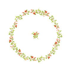 watercolor wreath of thin branches with leaves and tender light peach flowers with petals beauty beautiful isolated on white background