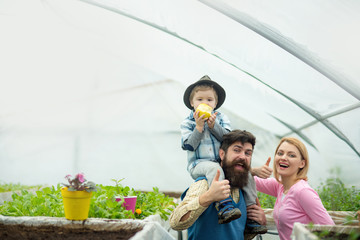 Cheerful family in greenhouse. Father in blue vest holding his son on shoulders while kid is eating apple. Bearded man and his blond wife in pink cardigan showing thumb up gesture