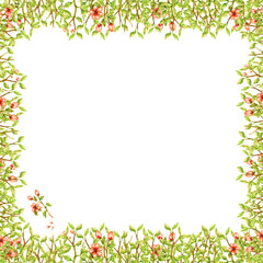 watercolor frame square of thin branches with green leaves and tender light peach orange flowers with petals beautiful isolated on white background