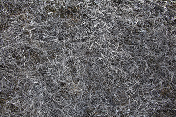 Burnt grass