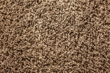 the texture is soft shaggy carpet brown