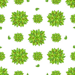 seamless watercolor pattern of vivid beautiful round leaves compositions summer nature texture background on a white background