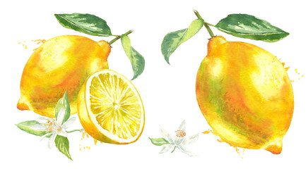 Yellow lemon with tow leaf, lemon slice, flower and spray paint watercolor illustration on an isolated white background