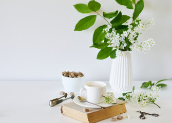 Vase with White Flowers Bird Cherry Tree, Morning, Cup with Coffee, Old Book, Spring Time, Summer Concept, White Background, Copy Space