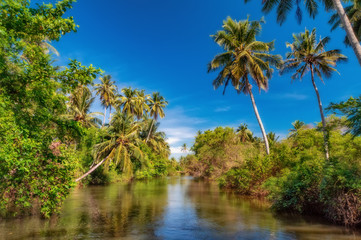 Dutch canal in Negombo.